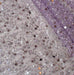 Sequined Pearl Embroidery Lace Asymmetric Single Sleeve Dress - Magellan Fashion Shop