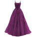 Camisole Ball Gown Long Tulle Lace Party Evening Gown - Magellan Fashion Shop