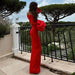 Dress Red And Black Slim-fit Long Sleeve French Lantern Sleeve Dress - Magellan Fashion Shop